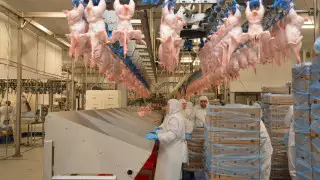 50 проектов реализуют в рамках развития продовольственного пояса столицы