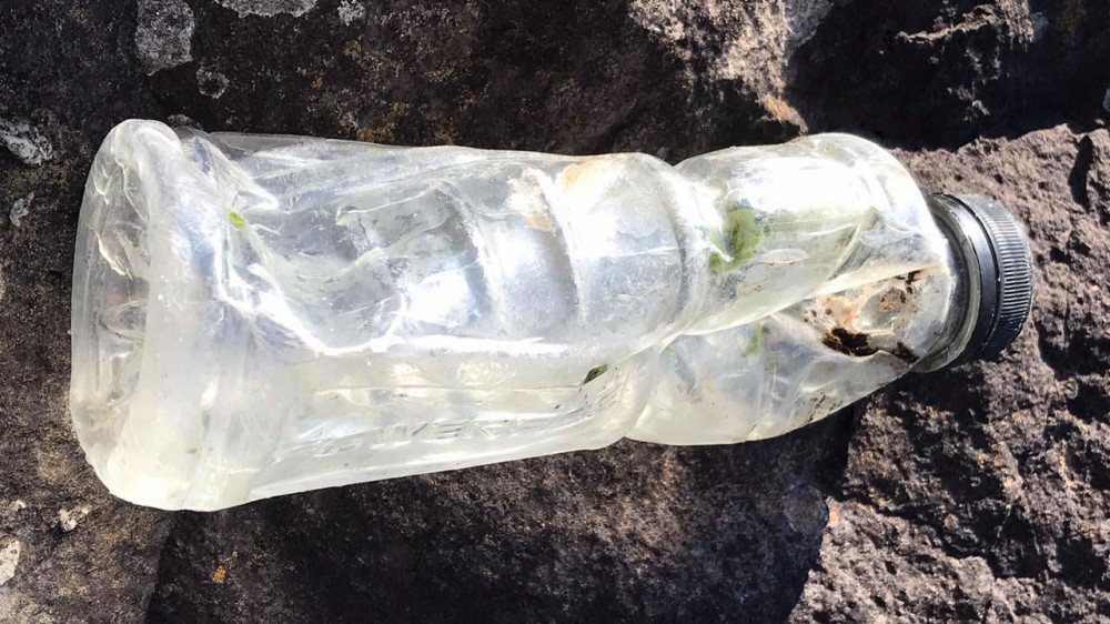 Подросток нашел бутылку с посланием, которая пересекла Атлантический океан