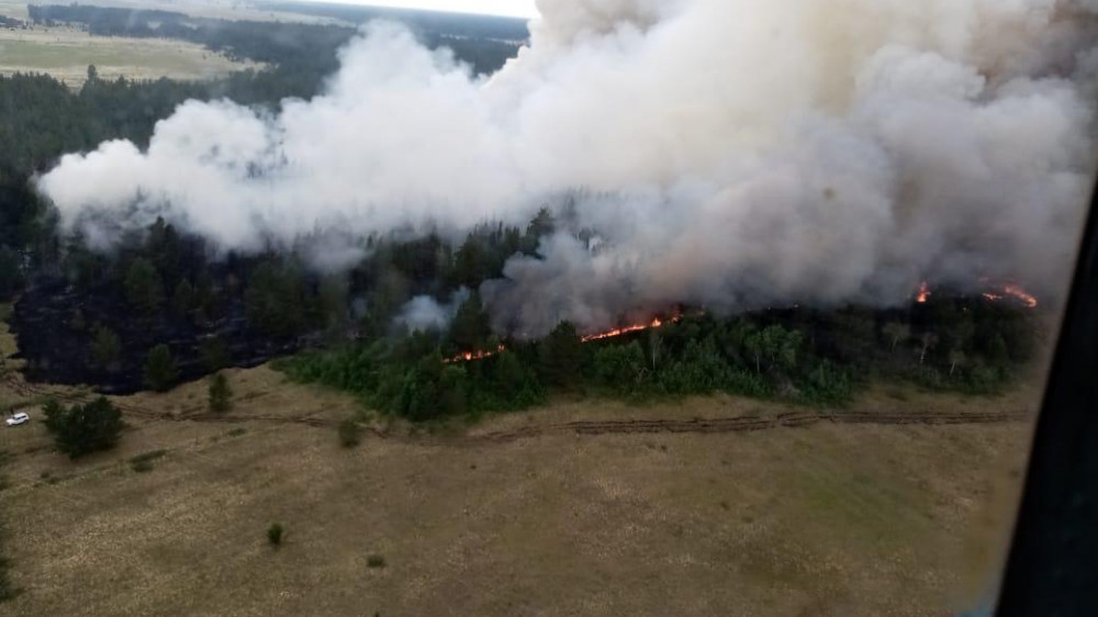 Лес горит в Павлодарской области