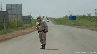 В Нур-Султане выявлена вероятность индийского штамма - Цой