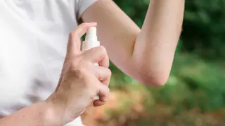 Алматинцев кусают неизвестные насекомые - токсиколог