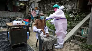 Названа группа людей с наибольшим количеством антител к COVID-19