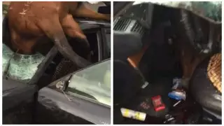 Жуткое ДТП с лошадью близ Кольсая: полиция рассказала подробности