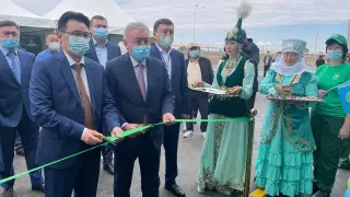 В Алматинской области запустили крупнейший тепличный комплекс