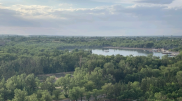 Мертвого льва нашли в центральном парке Караганды