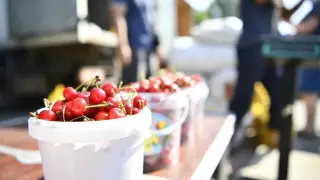 Цены на продукты снижаются в ЗКО