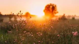 Жара до 42 градусов ожидается в Казахстане