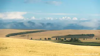 Токаев продлил мораторий на продажу сельхозземель