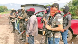 Мексиканские фермеры сплотились для противостояния мафии