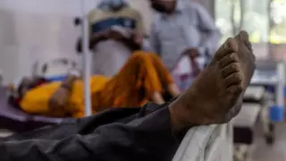 Провокаторов "черной плесени" назвали в ВОЗ