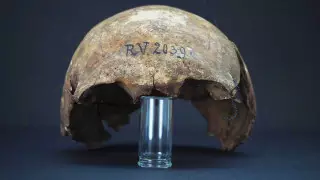 Ученые установили старейшую жертву чумы