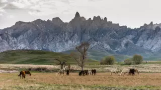 "Гора неблагодарной невесты". Какие легенды ходят о Сузакском районе