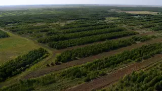 Назарбаев поддержал инициативу Президента Токаева