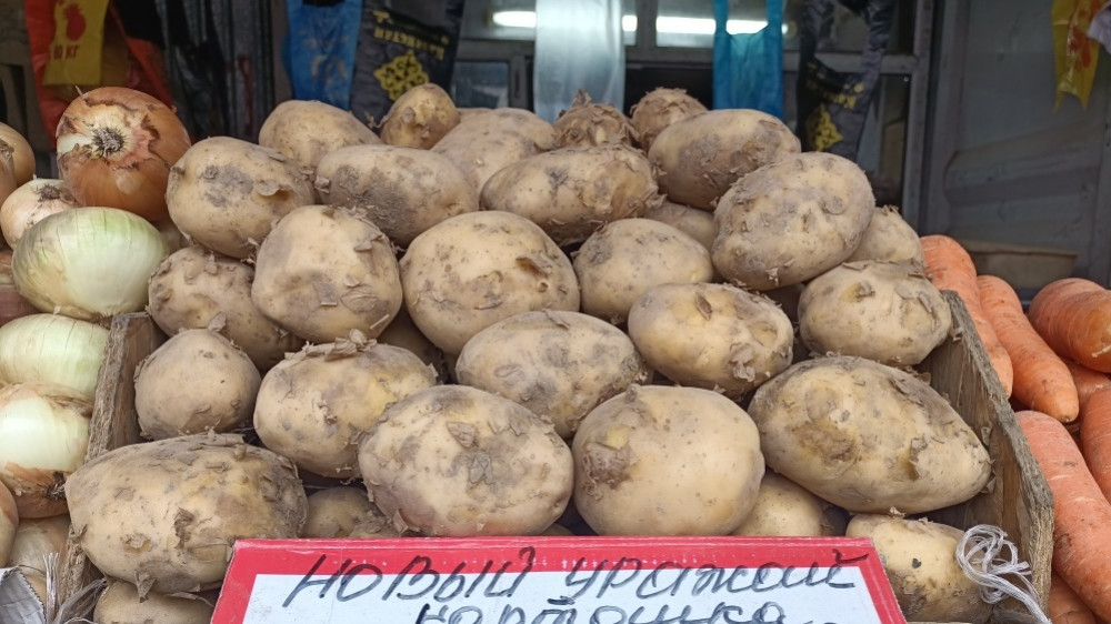 Причины подорожания картофеля назвал аким СКО