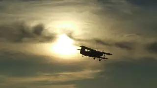 Падение Ан-2 у Кызылорды: возбуждено уголовное дело