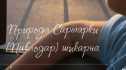 На сообщения в Сети о переименовании Павлодара ответили в акимате