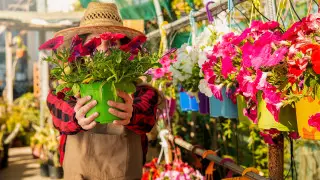 14 примеров доброты, которые поднимут вам настроение