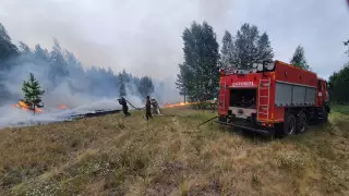 Сильный лесной пожар бушует в Костанайской области