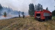 Сильный лесной пожар бушует в Костанайской области