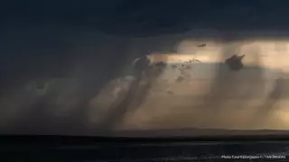 Дождливые выходные ждут казахстанцев