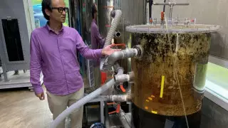 Эколог изобрел туалет, сходив в который можно заработать