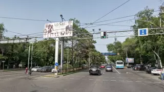 Вырубку деревьев по проспекту Абая объяснили в акимате Алматы