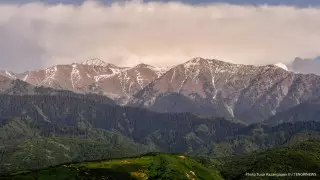 Землетрясение произошло близ Алматы