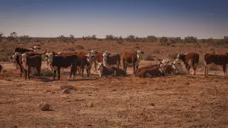 Фонд Булата Утемуратова направит свыше 200 миллионов тенге в Аральск