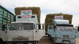 Фермерам запада Казахстана отправили вагоны с сеном