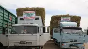 Фермерам запада Казахстана отправили вагоны с сеном