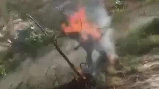 Живодеры сожгли собаку и записали ее смерть на видео: Полицейские Павлодара начали проверку