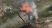Живодеры сожгли собаку и записали ее смерть на видео: Полицейские Павлодара начали проверку