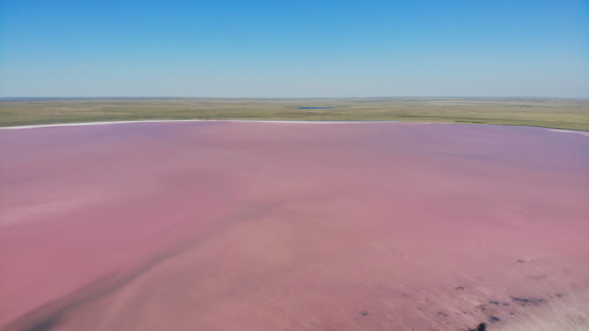 Розовое озеро рядом с Павлодаром