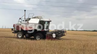 Комбайнера убило током за работой в ЗКО