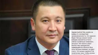 Жалоба на пение лягушек озадачила акима Павлодара