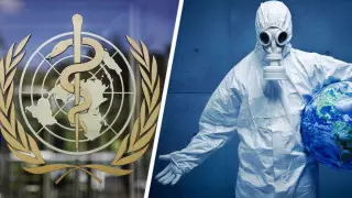 ВОЗ призвала закрыть всякий туризм: озвучены причины и сроки