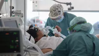 Первые случаи заболевания грибковой инфекцией зарегистрировали в США