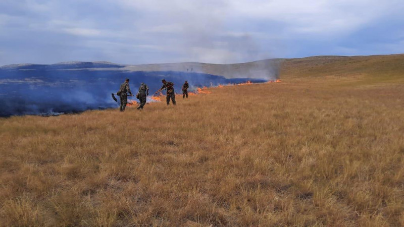 Огнеборцы тушат природный пожар в Карагандинской области