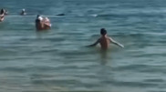 Казахстанцы рассылают видео с "дельфинами на Алаколе"