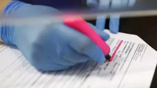 За подделку справок задержали медсестру и жителей Туркестанской области