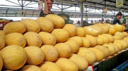 Кому опасно есть дыню, рассказала врач