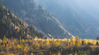 Отели эвакуируют в турецком Мармарисе из-за лесных пожаров ...