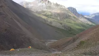 Окаменелости самых древних животных обнаружили в Канаде