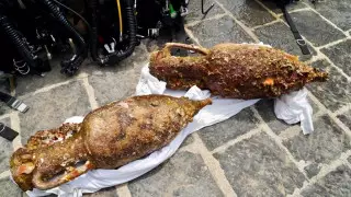 Затонувший древнеримский корабль нашли у берегов Сицилии