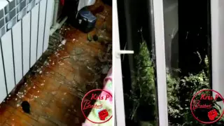 Мужчина с молотком громил ночью машины в Алматы