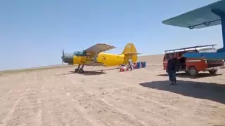 Автора фейка о "распылении коронавируса" задержали в Туркестанской области