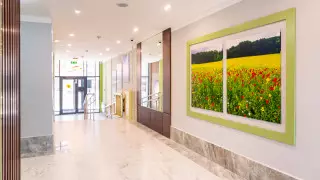 В столице завершен масштабный проект "Времена года"