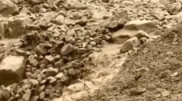Сель сошел на пути популярного туристического маршрута в Алматы