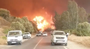 Лесные пожары начались в Алжире