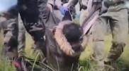 Литовские пограничники бросили беременную беженку на границе с Беларусью